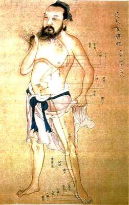 Un'antica raffigurazione per la localizzazione dei punti dell'agopuntura